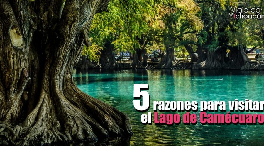 5 Razones para Visitar el Lago de Camécuaro